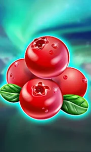 Winterberries